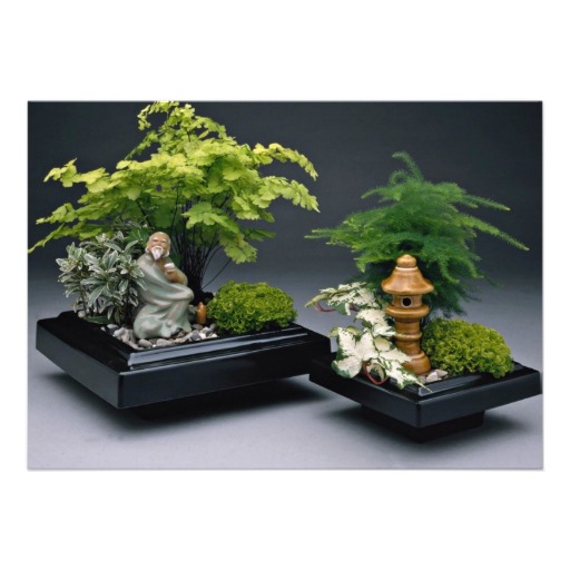 small bonsai figurines